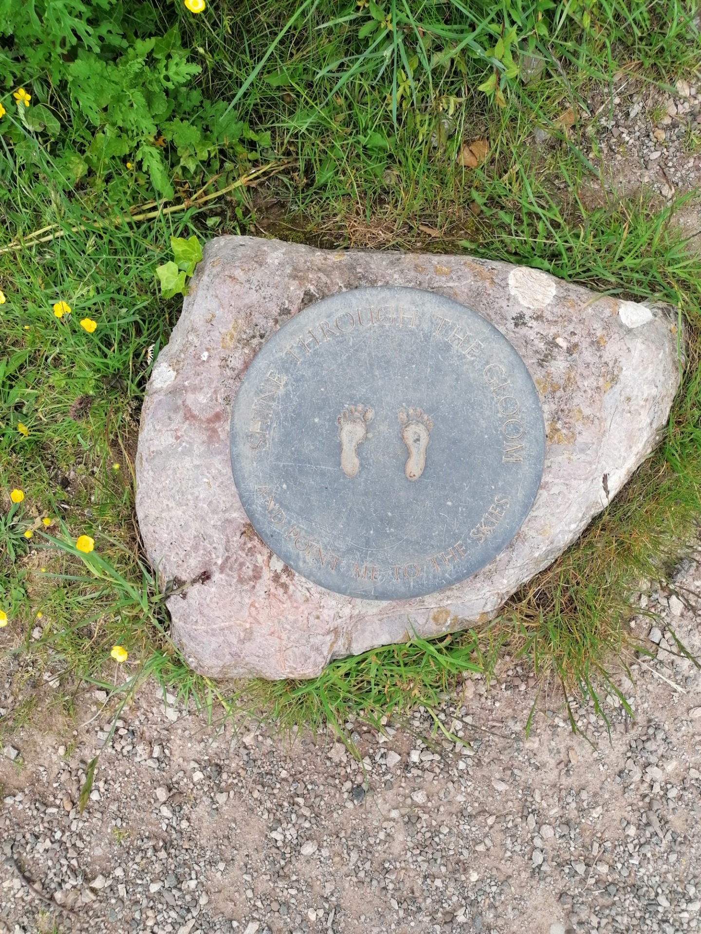 Photo Gallery Carters Cove